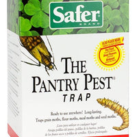 Safer Pantry Pest Trap Clearance