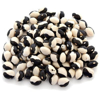 Territorial Seed Company