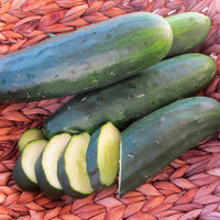 Territorial Seed Company