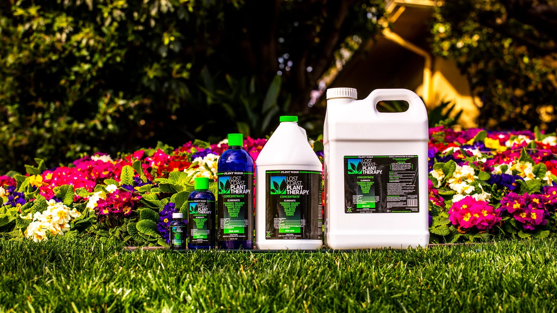 plant therapy hydroponics Plant Therapy