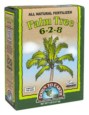 DTE Palm Tree 6-2-8