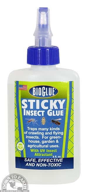 Bioglue Sticky Insect Glue Clearance