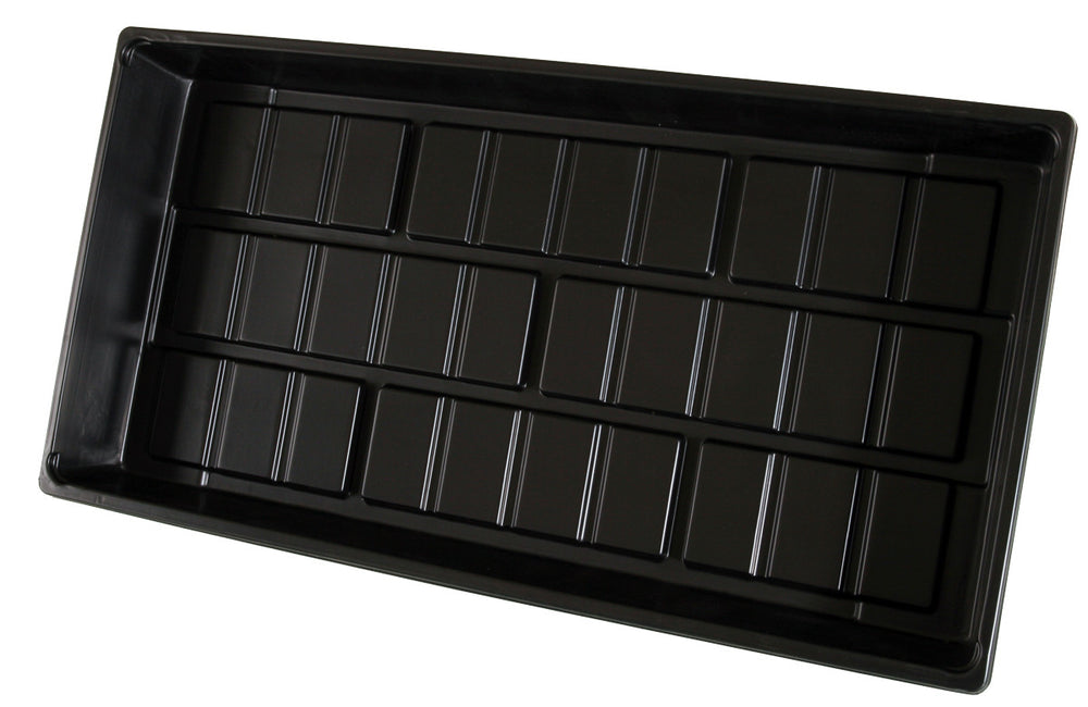 Cut Kit Tray 11