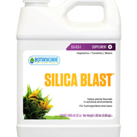 Silica Blast