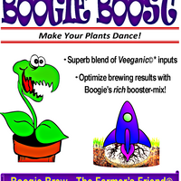 Boogie Boost