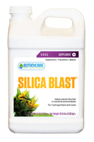 Silica Blast