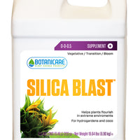Silica Blast