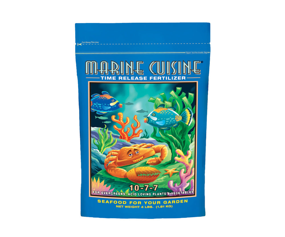 Marine Cuisine