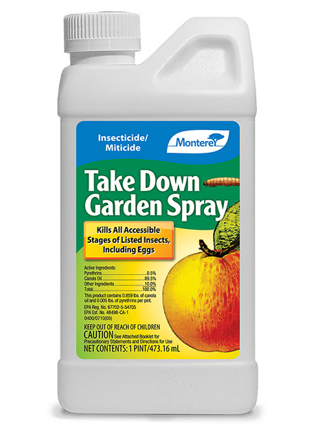Monterey Garden Take Down