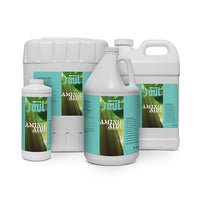 Soul Amino-Aide