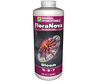 FloraNova Bloom
