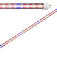 LED T5 Conversion Lamp