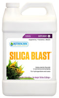 Silica Blast