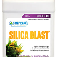 Silica Blast