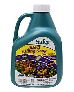 insecticidal soap grasshoppers Safer Insect Killing Soap Concentrate| Hilo Grow Shop