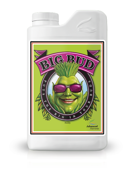 Big Bud