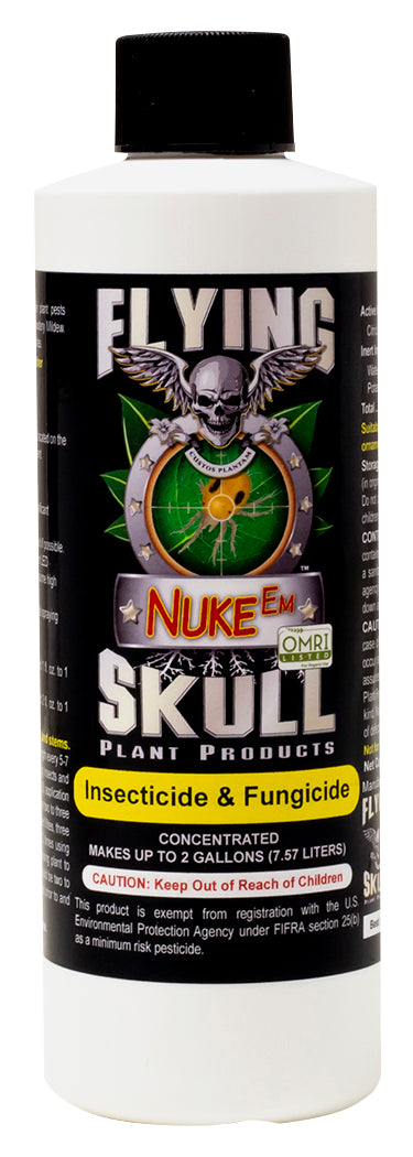 Flying Skull Nuke Em