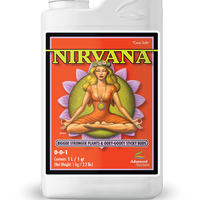 Nirvana