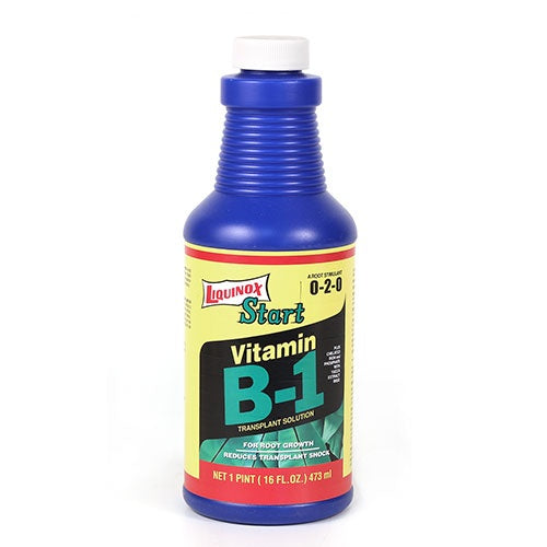 Liquinox Start Vitamin B1