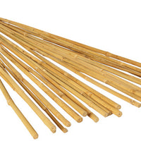 Bamboo Stakes