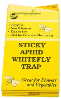 Yellow Sticky Trap