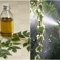 Sam's Organic Neem Oil