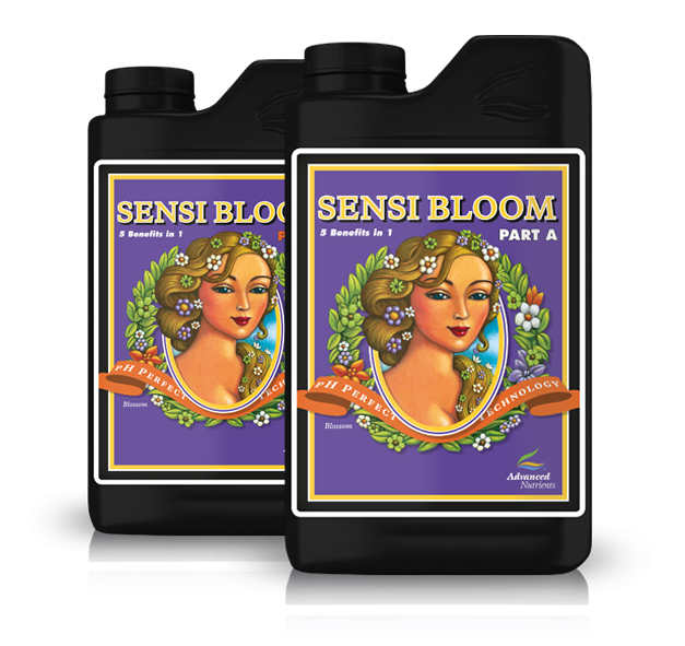 pH Perfect Sensi Bloom